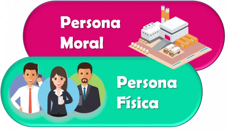 Persona Física Vs. Persona Moral