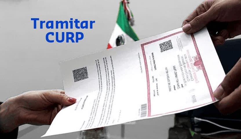 Lee más sobre el artículo ¿Cuáles son los requisitos para tramitar la CURP por primera vez?